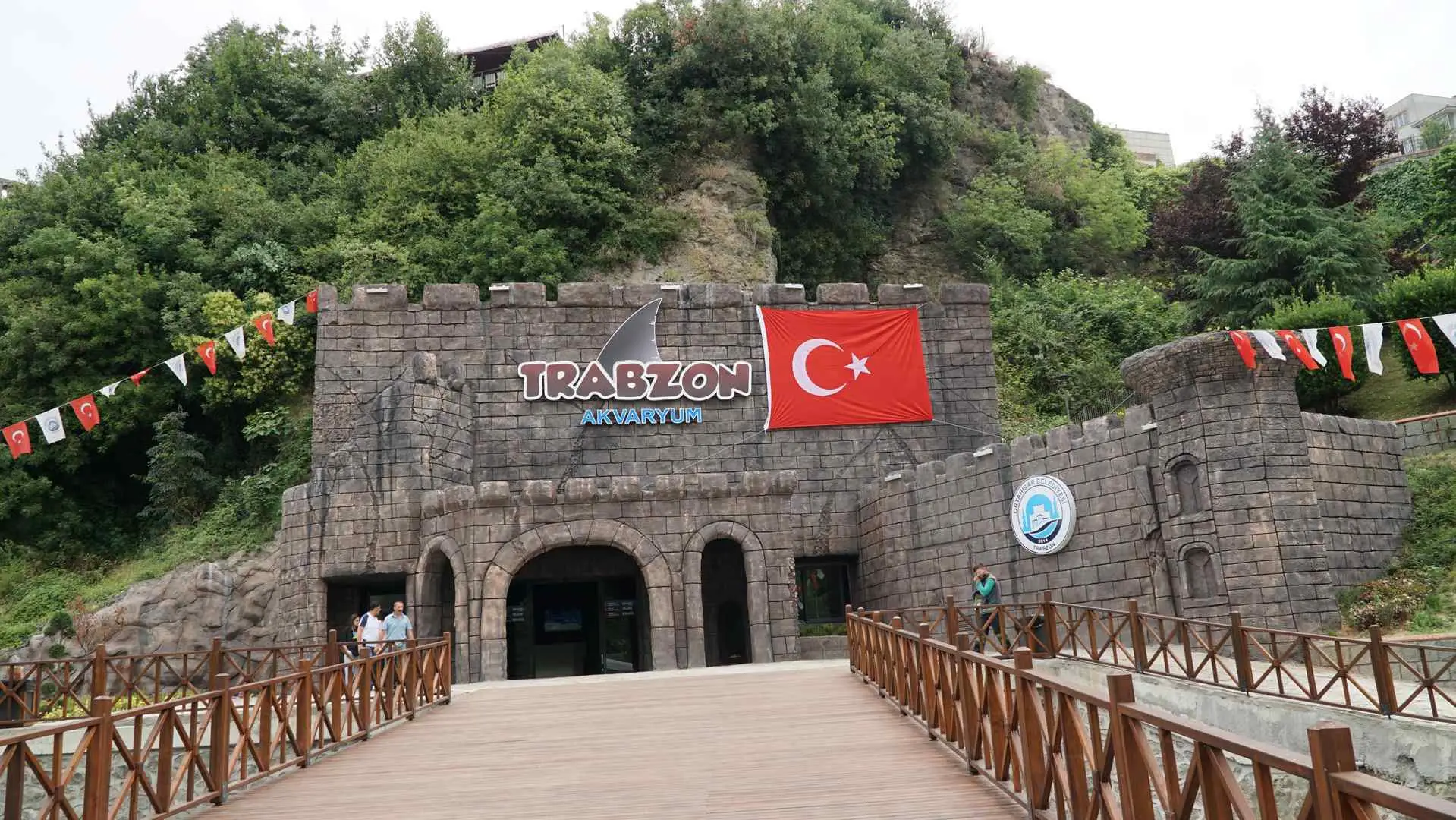 Akvaryum